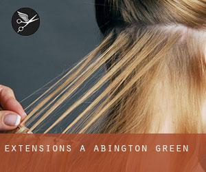 Extensions à Abington Green