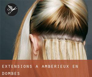 Extensions à Ambérieux-en-Dombes