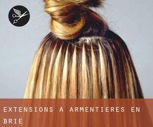 Extensions à Armentières-en-Brie