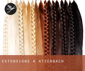 Extensions à Atzenbach