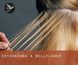 Extensions à Bellflower