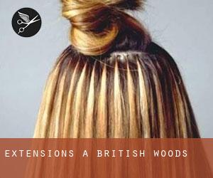 Extensions à British Woods