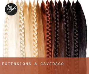 Extensions à Cavedago