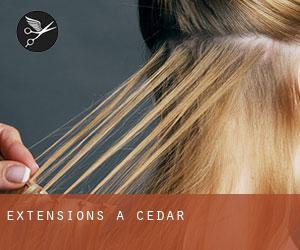 Extensions à Cedar