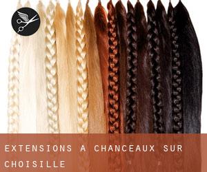 Extensions à Chanceaux-sur-Choisille