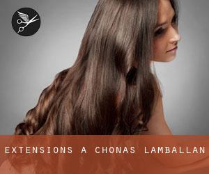 Extensions à Chonas-l'Amballan