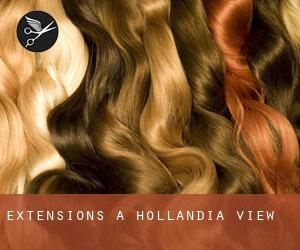 Extensions à Hollandia View