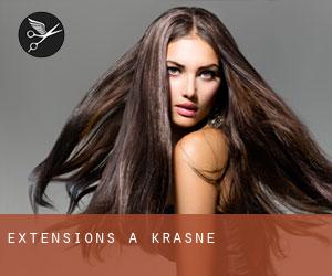 Extensions à Krasne