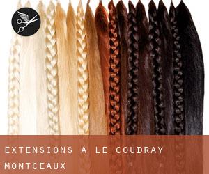 Extensions à Le Coudray-Montceaux