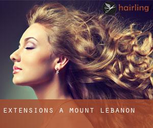 Extensions à Mount Lebanon