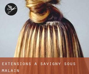 Extensions à Savigny-sous-Mâlain