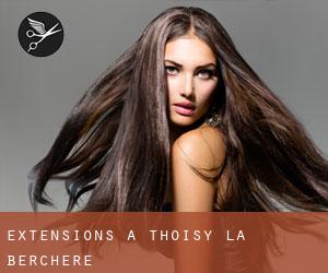 Extensions à Thoisy-la-Berchère