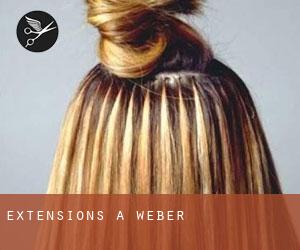 Extensions à Weber