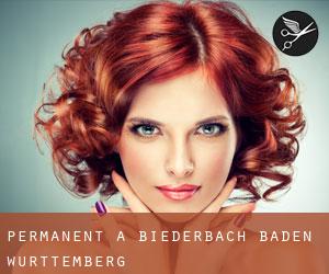 Permanent à Biederbach Baden-Wurttemberg