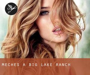 Mèches à Big Lake Ranch