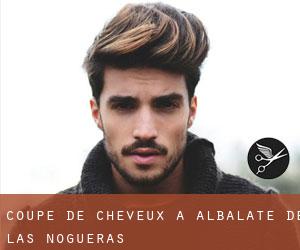 Coupe de cheveux à Albalate de las Nogueras