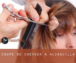 Coupe de cheveux à Aliaguilla