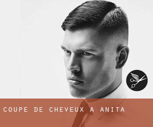 Coupe de cheveux à Anita