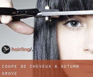 Coupe de cheveux à Autumn Grove