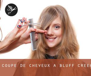 Coupe de cheveux à Bluff Creek