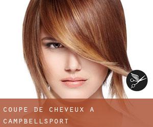 Coupe de cheveux à Campbellsport