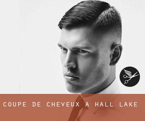 Coupe de cheveux à Hall Lake