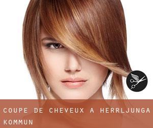 Coupe de cheveux à Herrljunga Kommun