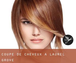 Coupe de cheveux à Laurel Grove