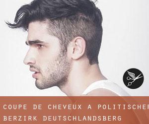 Coupe de cheveux à Politischer Berzirk Deutschlandsberg