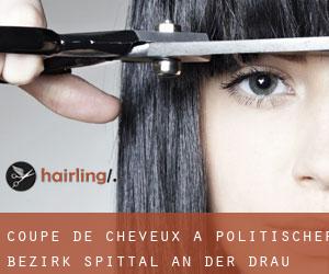 Coupe de cheveux à Politischer Bezirk Spittal an der Drau