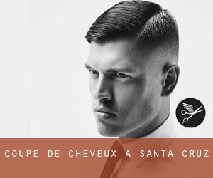 Coupe de cheveux à Santa Cruz