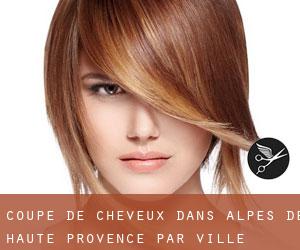 Coupe de cheveux dans Alpes-de-Haute-Provence par ville importante - page 1