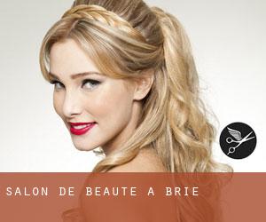 Salon de beauté à Brie