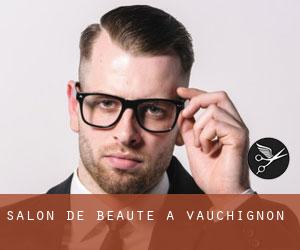 Salon de beauté à Vauchignon