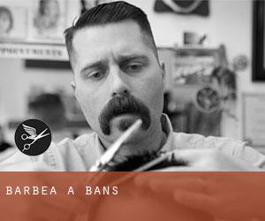 Barbea à Bans
