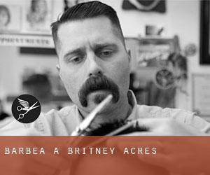 Barbea à Britney Acres