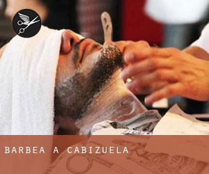 Barbea à Cabizuela