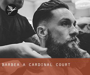 Barbea à Cardinal Court