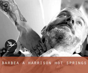 Barbea à Harrison Hot Springs