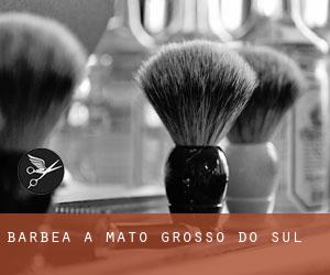 Barbea à Mato Grosso do Sul