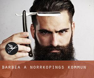 Barbea à Norrköpings Kommun