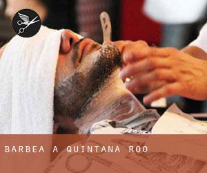Barbea à Quintana Roo
