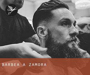 Barbea à Zamora