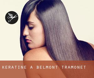 Kératine à Belmont-Tramonet