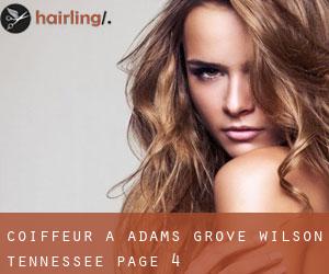 coiffeur à Adams Grove (Wilson, Tennessee) - page 4
