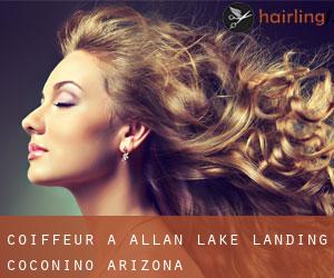 coiffeur à Allan Lake Landing (Coconino, Arizona)