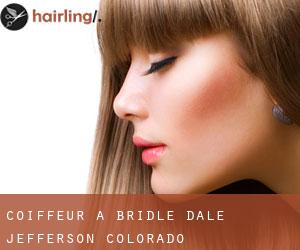 coiffeur à Bridle Dale (Jefferson, Colorado)