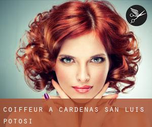 coiffeur à Cárdenas (San Luis Potosí)