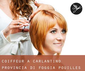 coiffeur à Carlantino (Provincia di Foggia, Pouilles)