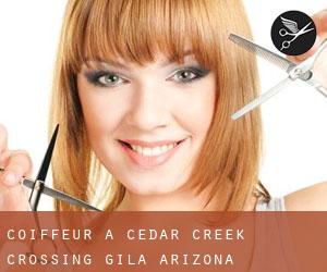 coiffeur à Cedar Creek Crossing (Gila, Arizona)
